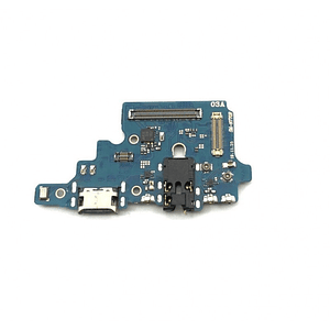 Flex Carga Samsung Galaxy Note 10 Lite N770