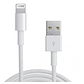 Cargador Pared Ipad Pro + Cable Lightning 12w - Miniatura 3