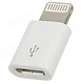 Adaptador Lightning A Micro Usb iPhone 5 Y 6 iPad Mini iPod - Miniatura 1