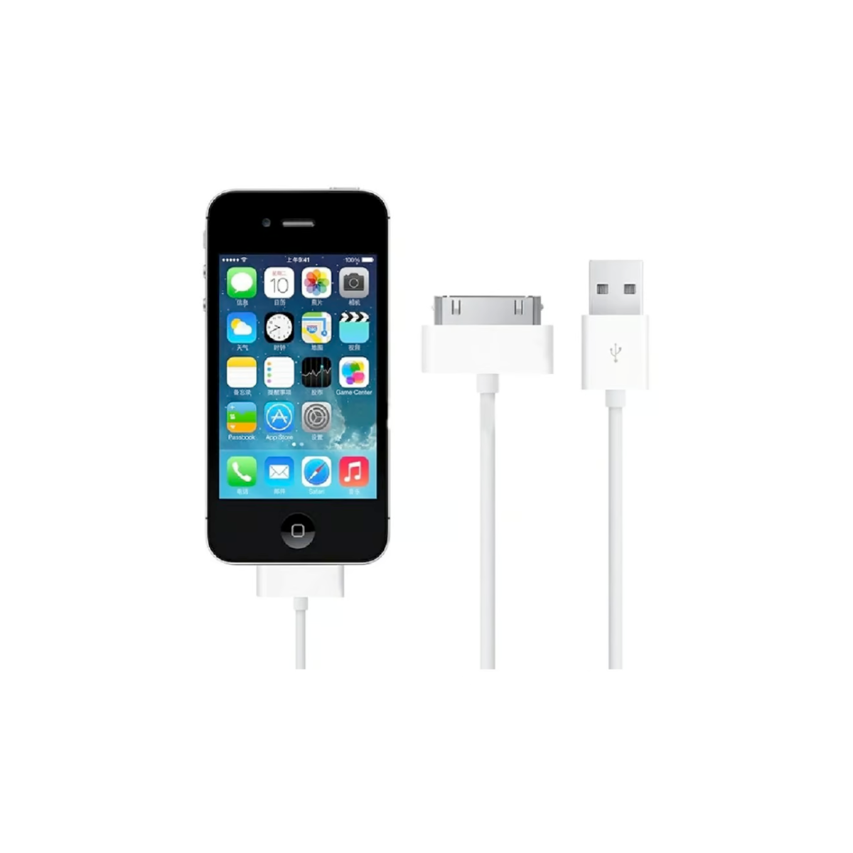 Cable USB iPhone iPad 1 - iPad 2 Salida 30 Pines 4