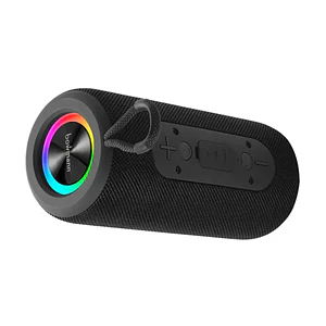 Parlante Portatil Bluetooth TWS Con FM 12W Bowmann BTS-200X