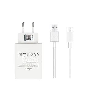 Cargador Original Carga Rápida Vivo 18W + Cable C