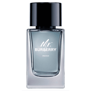 Mr. Burberry Indigo Edt 100Ml Hombre Tester