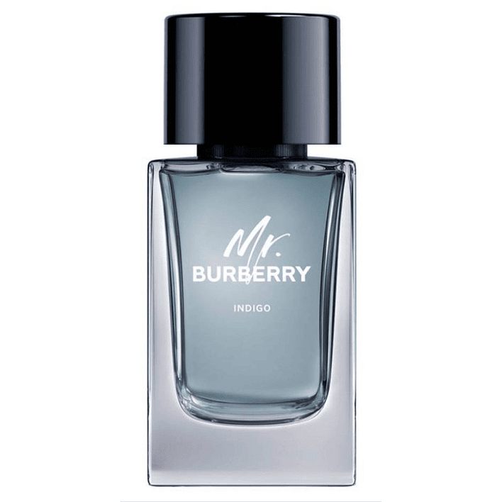 Mr. Burberry Indigo Edt 100Ml Hombre Tester 1