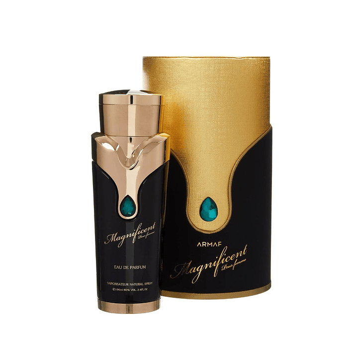 Magnificient Pour Femme Edp 100Ml Mujer Armaf 1