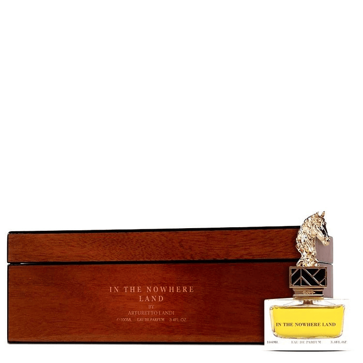 In The Nowhere Land Aurora Scents 100Ml Unisex 1
