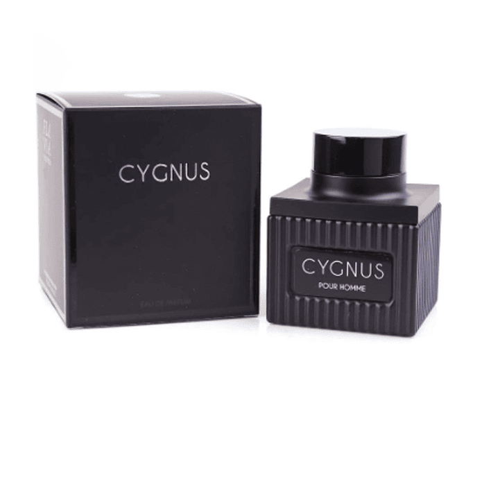 Flavia Cygnus Pour Homme Edp 100ml Hombre 1