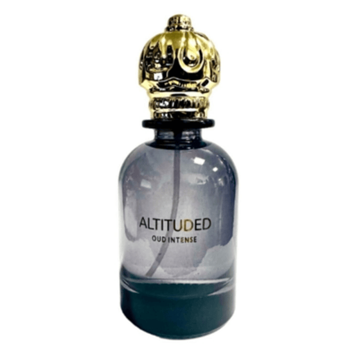 ALTITUDED OUD INTENSE EDP 100ML HOMBRE 1