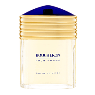 Boucheron Pour Homme 100 ml EDT Hombre
