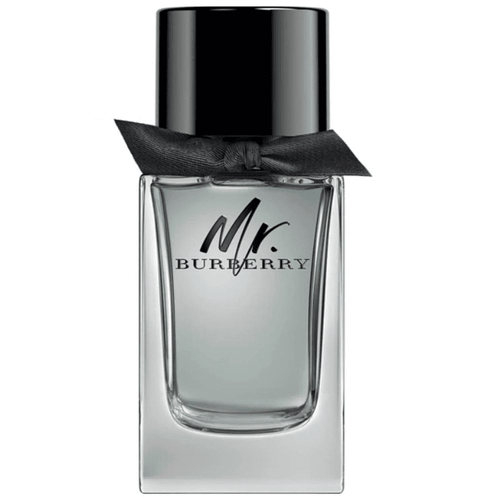 Mr Burberry Edt 100Ml Hombre Tester 1