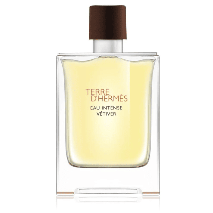 Terre D Hermes Eau Intense Vtiver EDP 100 ML 1