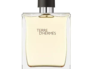 HERMES TERRE EDT 100ML HOMBRE