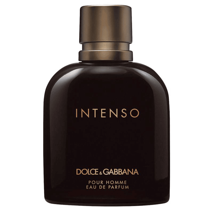Dolce & Gabbana Pour Homme Intenso edp 125 ml 2