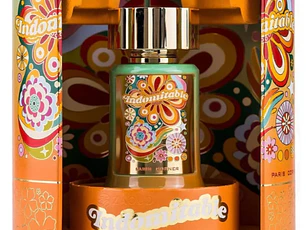 Paris Corner Indomitable Edp 100Ml Unisex