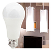 Apolleta Led 15watt Luz Fria / Ventasmacul