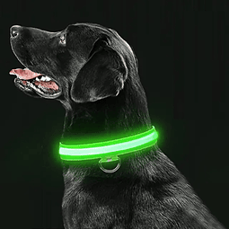 Collar Perro Led Recargable Via Usb / Somos Ventasmacul