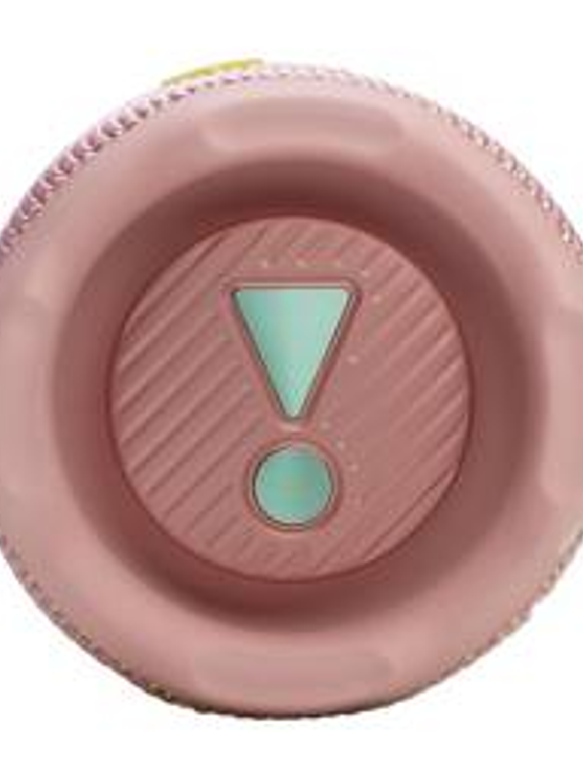 Altavoz JBL Flip 7 Bluetooth Rosa IPX7 Portátil 1