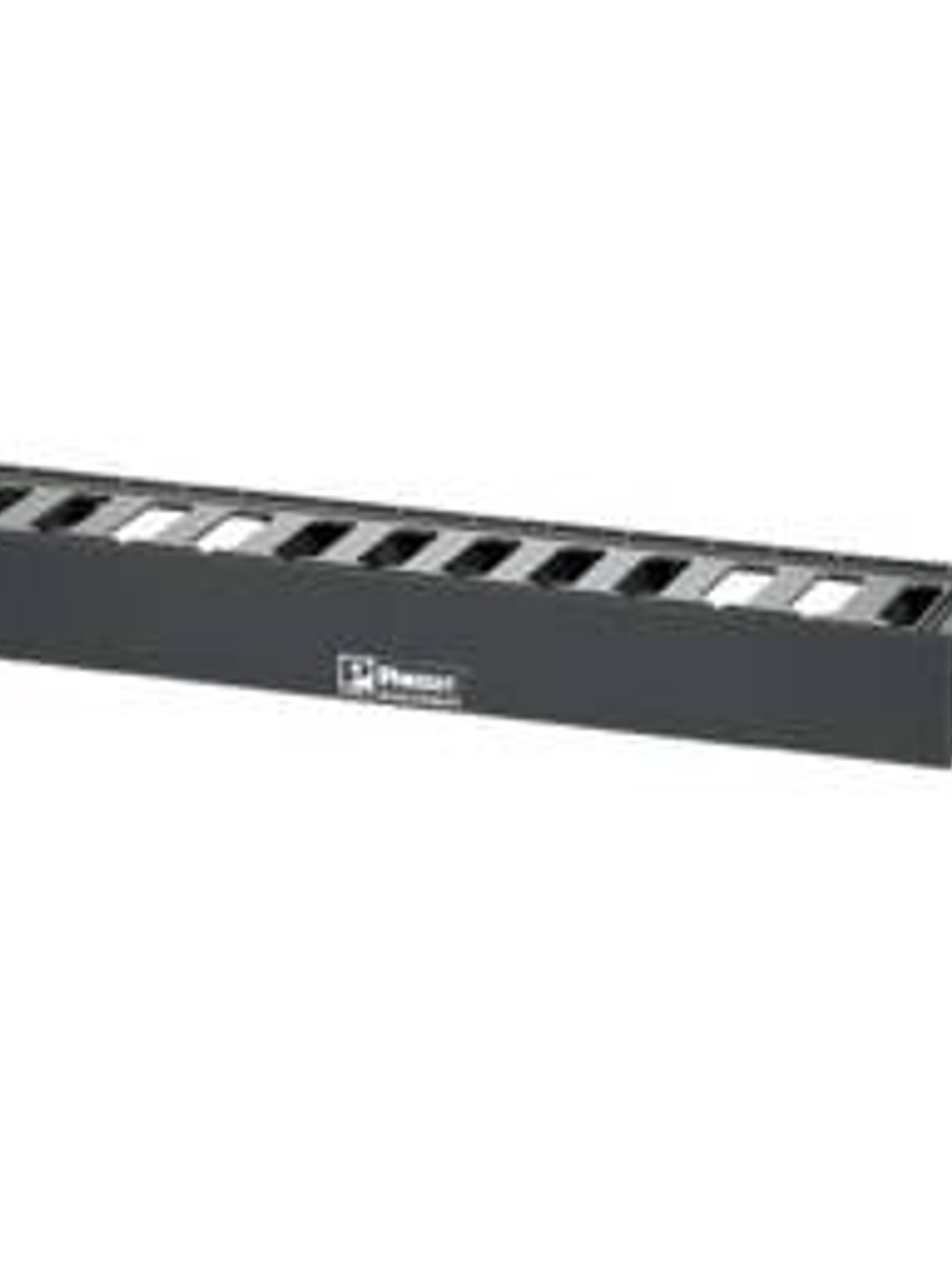 Organizador de Cables de Red Panduit, para Cable 5e y 6 1