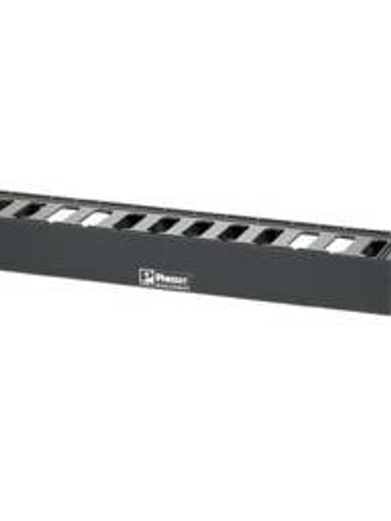 Organizador de Cables de Red Panduit, para Cable 5e y 6 1
