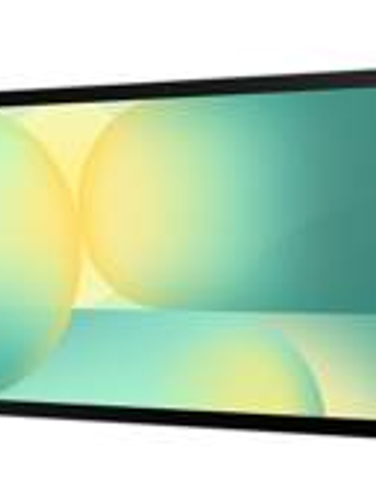 Samsung - S10 FE - 10.9