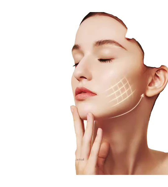 Crema Hidratante Rejuvenecedora BIOAQUA