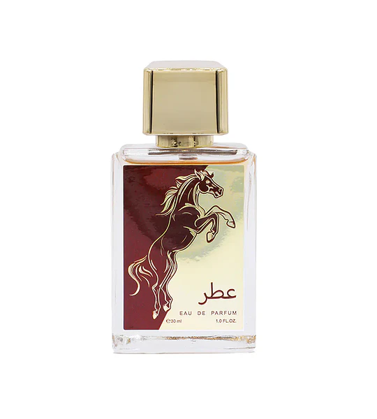 Perfume Árabe Unisex 30ml - 510