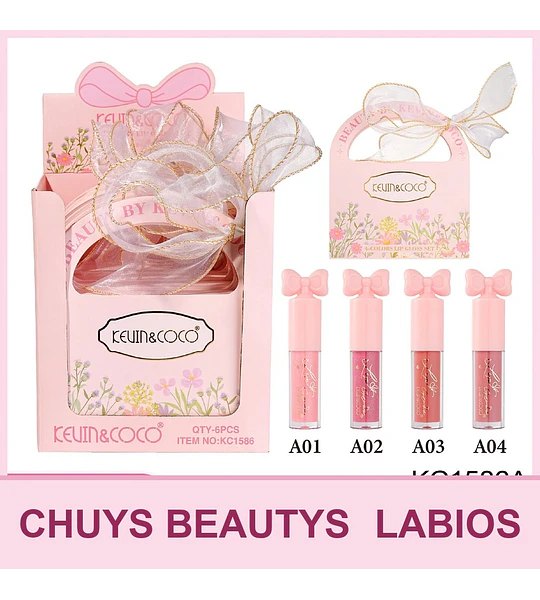 Set de 4 Lipgloss