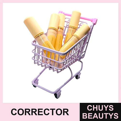 Corrector de Ojeras Larga Duración Flamenco - FLAMENCO | Chuys Beautys