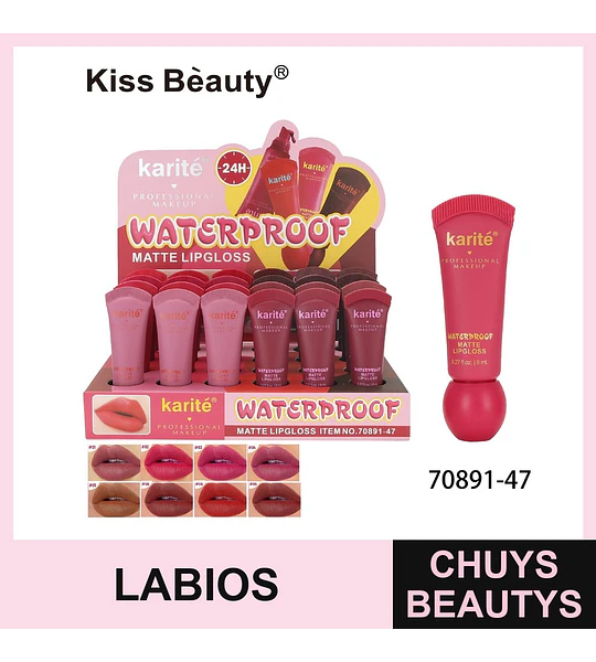 Labial Matte 24H: ¡Color intenso y duradero para tus labios!