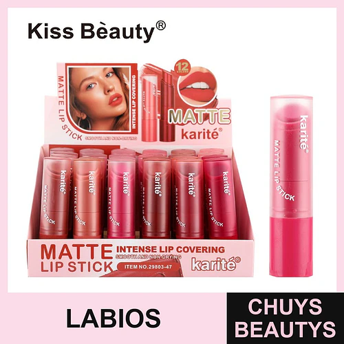 Labial en Barra Mate Chuys Beautys - 12 Tonos - COSMIVA | Chuys Beautys