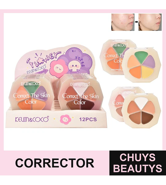Corrector En Crema De 5 Colores (3 Tonos)