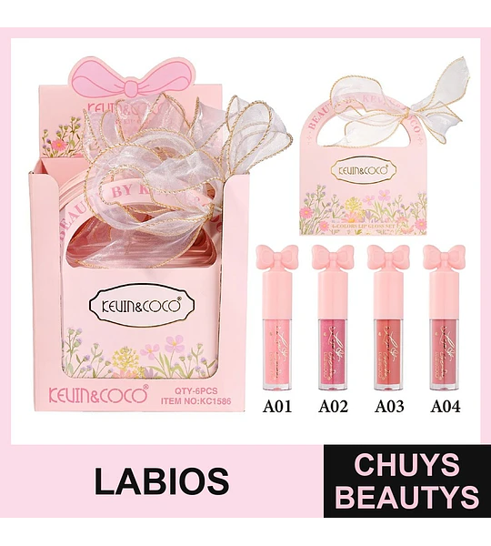 Set de 4 Lipgloss