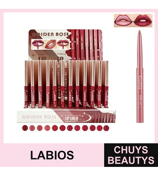 Delineador de Labios 12 Colores Y1117