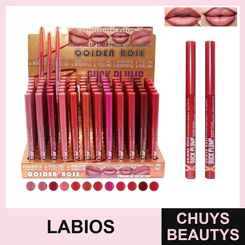 Delineador de Labios 12 Colores Y1135 - Chuys Beautys | Chuys Beautys