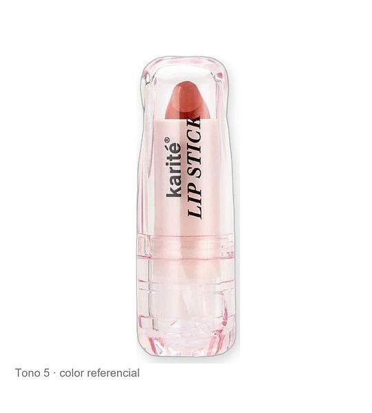 Labial Velvet Full Pigment Mate Karité