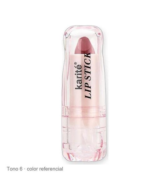 Labial Velvet Full Pigment Mate Karité