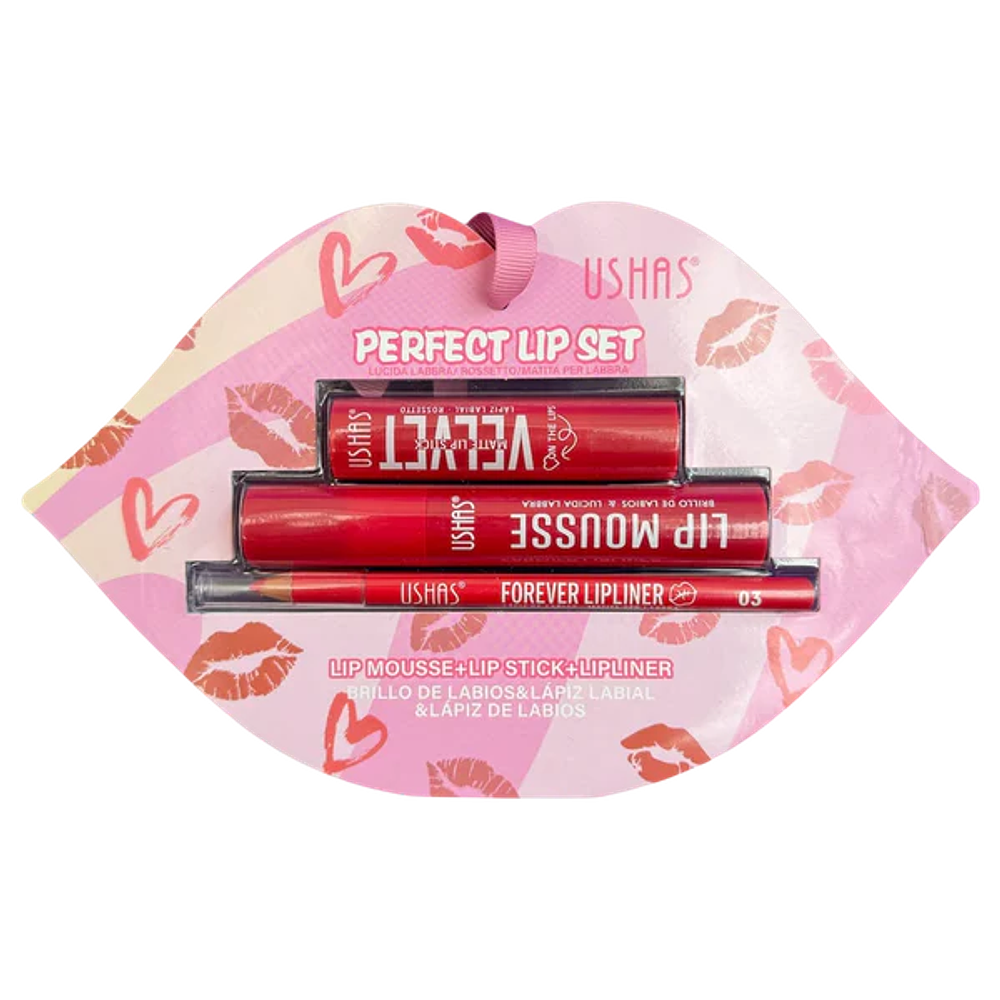 PERFRCT LIP SET 