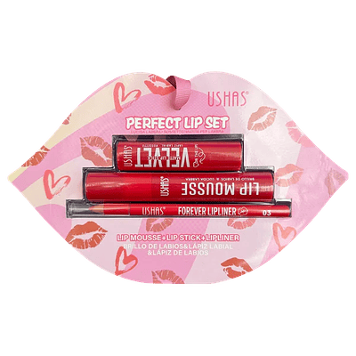 PERFRCT LIP SET 