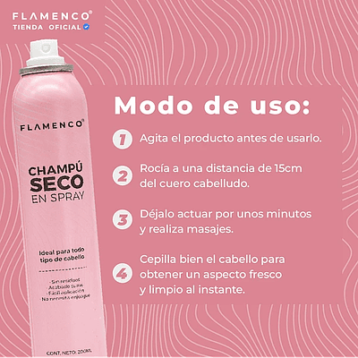 CHAMPÚ EN SECO