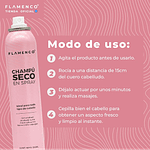 CHAMPÚ EN SECO