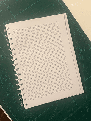 Bloco de notas - Corvo e Rosas