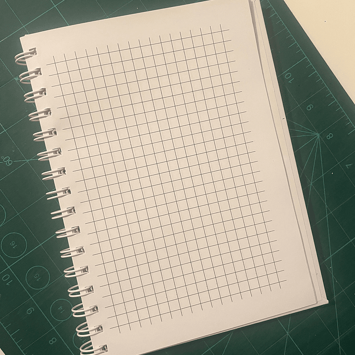 Bloco de notas - Corvo e Rosas 2