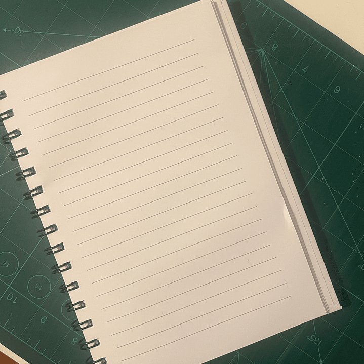 Bloco de notas - Corvo e Rosas 4