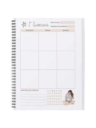 Planner da grávida 