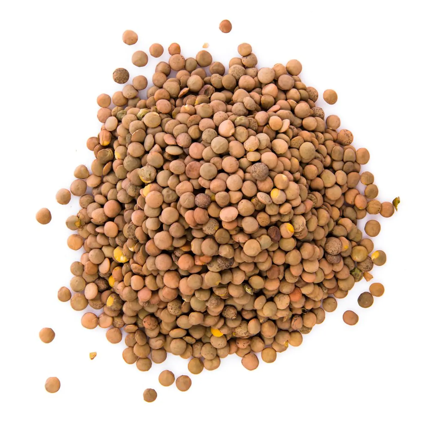 LENTEJAS 500gr 1