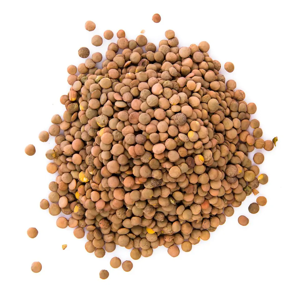 LENTEJAS 500gr 1
