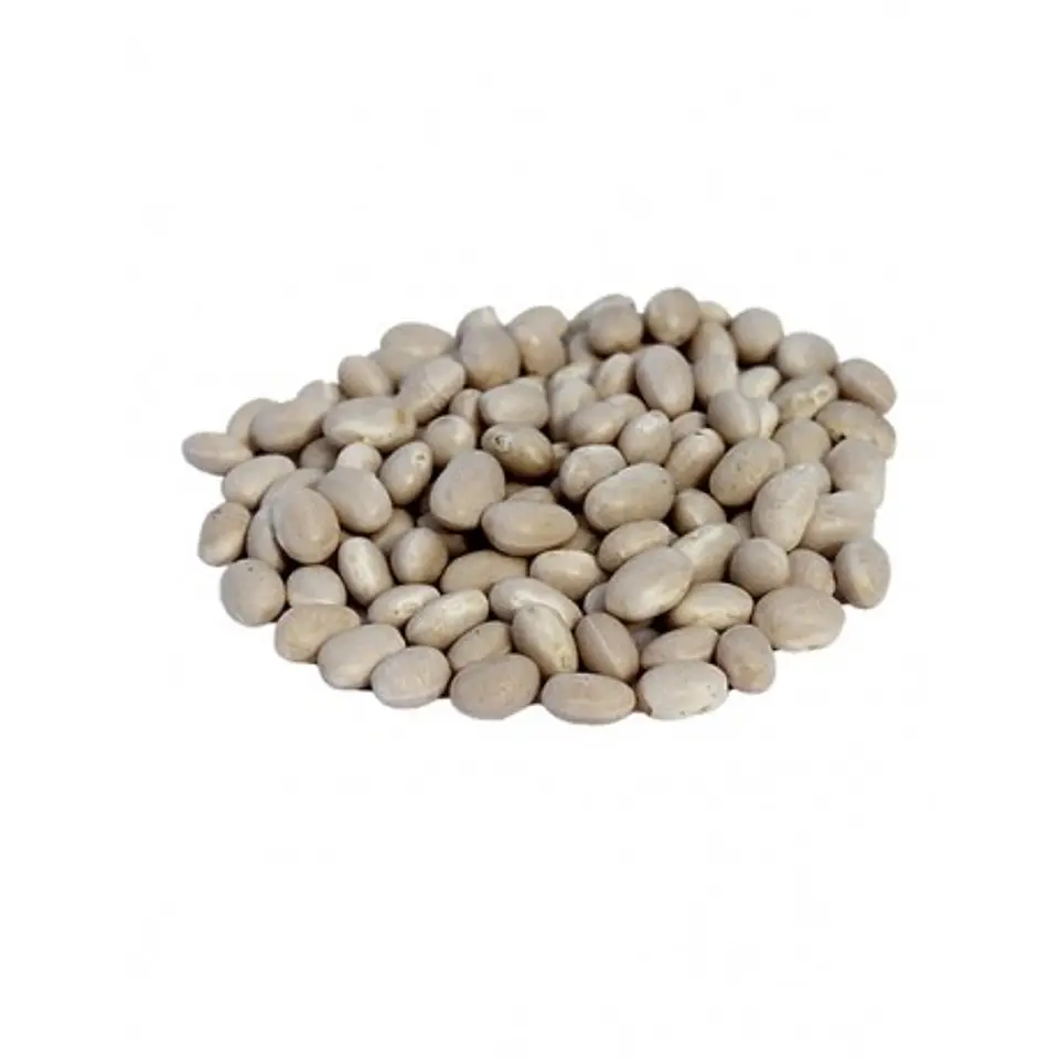 POROTO BURRO 500gr 1