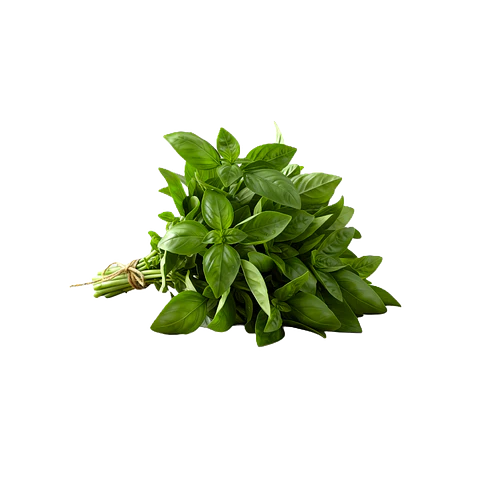 ALBAHACA ATADO