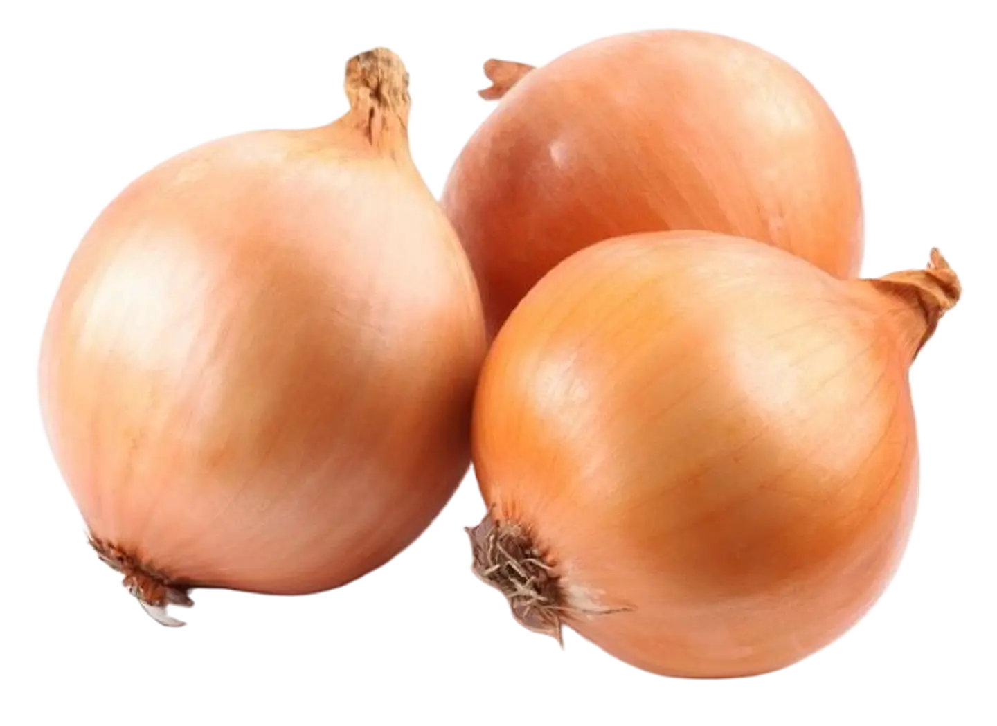 CEBOLLA (KG) 1