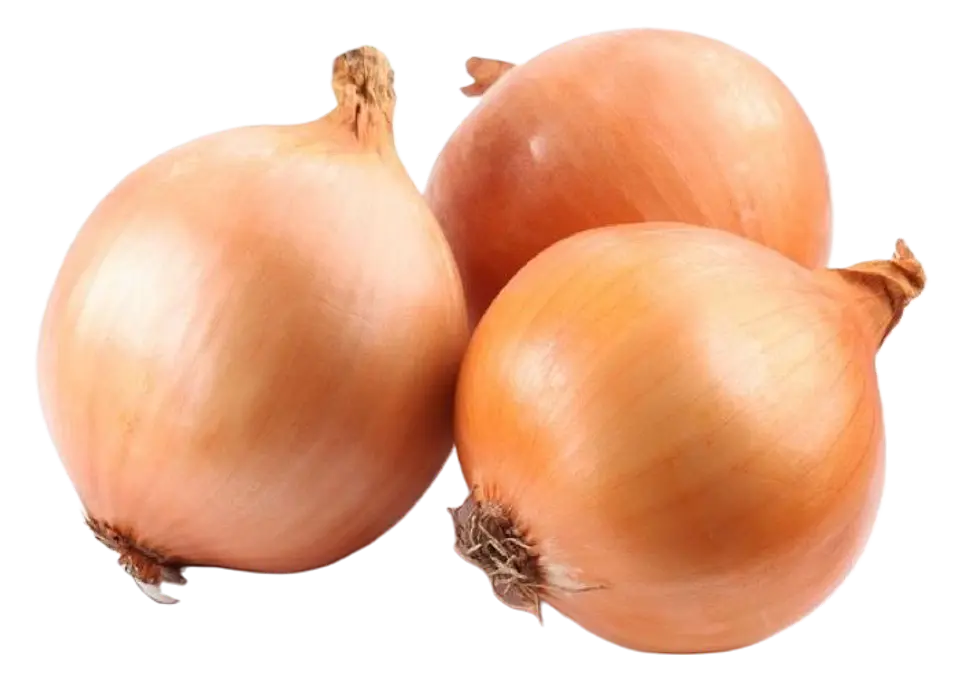 CEBOLLA (KG) 1